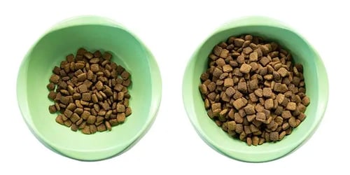Is it bad for adult dogs to eat deals puppy food